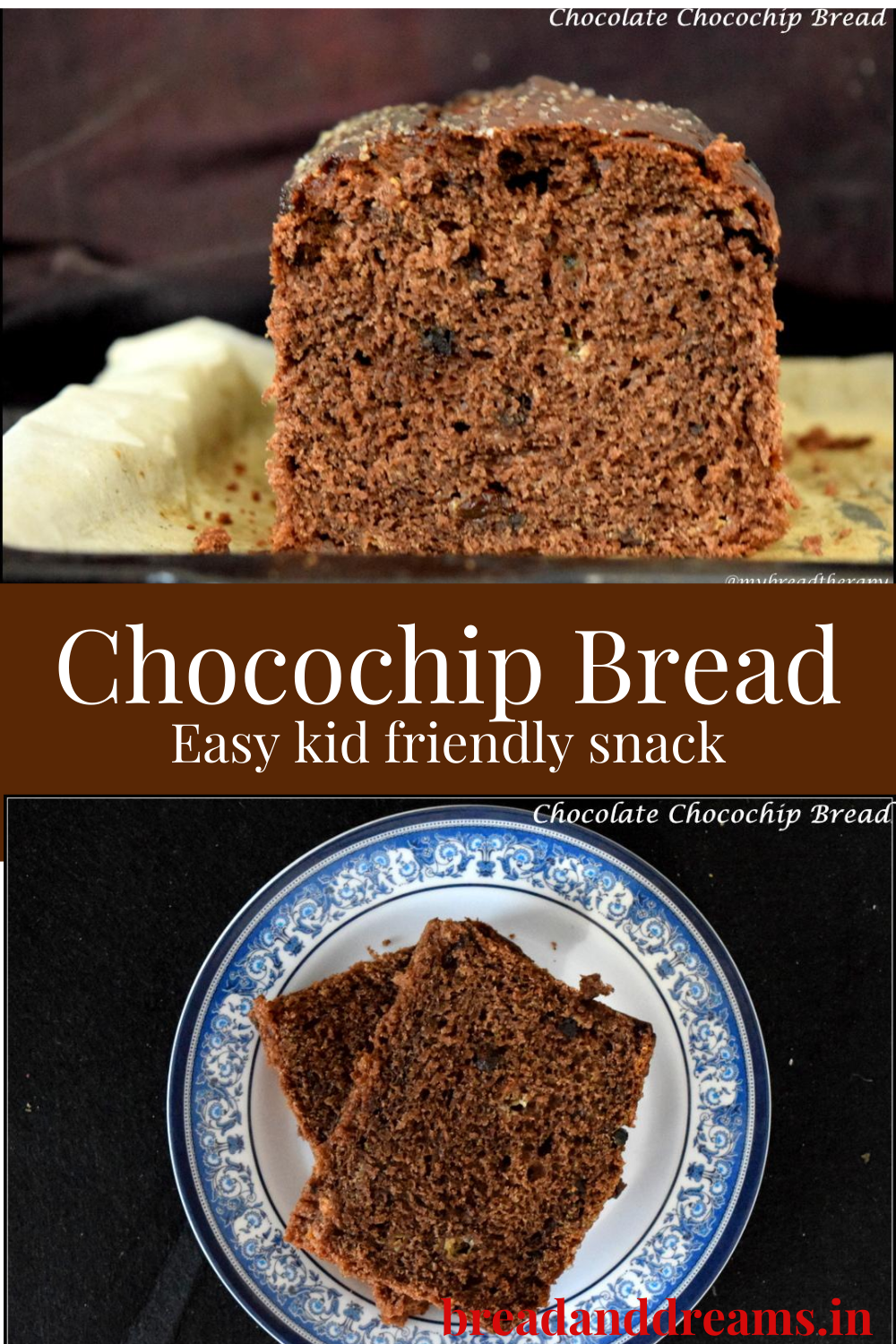 Chocochip chocolate bread 